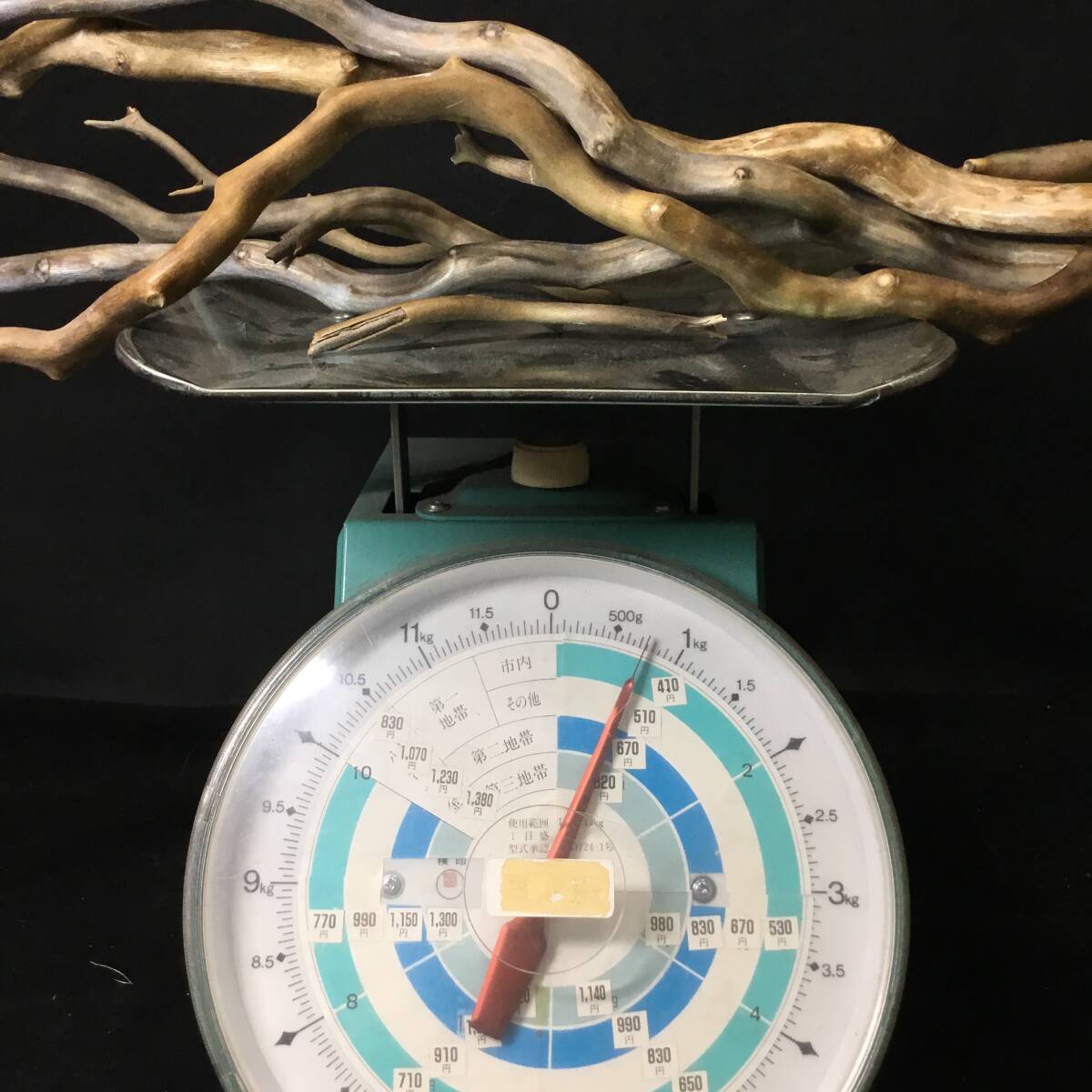 海松 深海松 原木 レインボーコーラル 重量700g 枝珊瑚 置物 オブジェ 材料 No.27_9