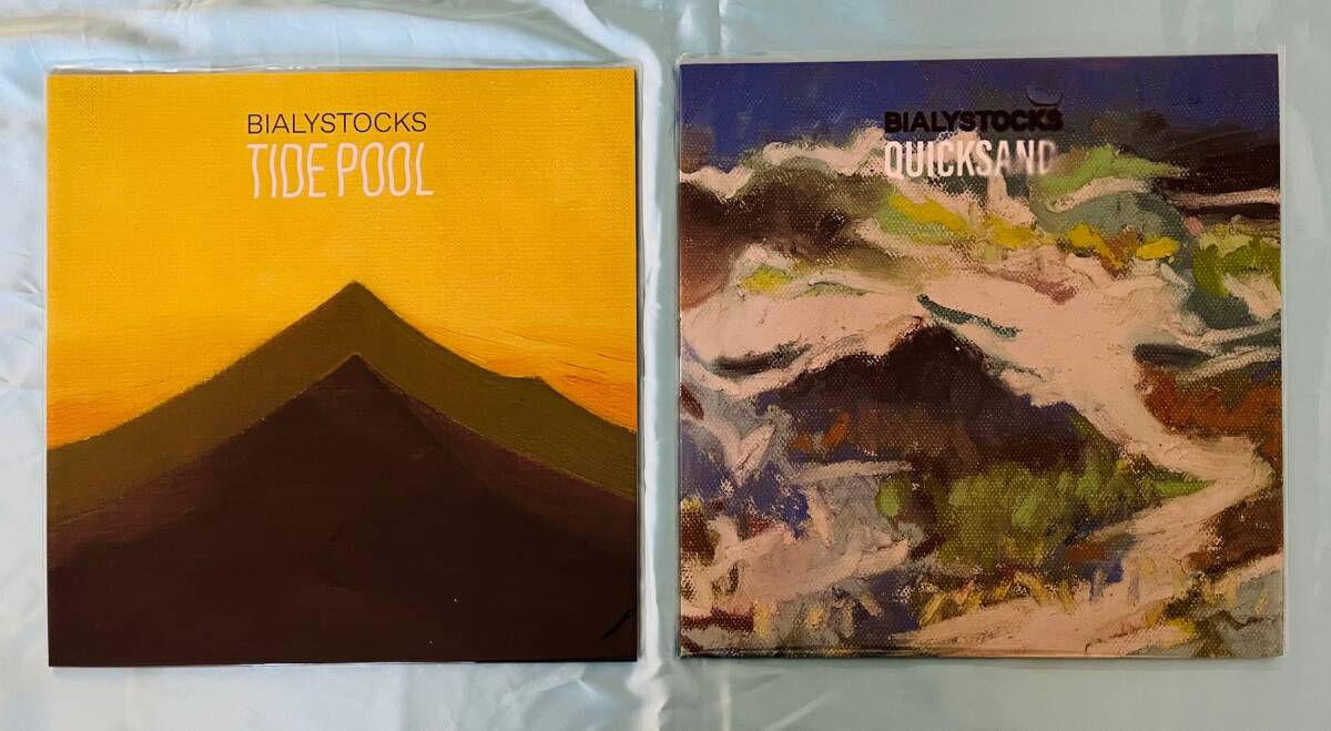 レコード 美品Tide Pool ビアリストックス Bialystocksレコード