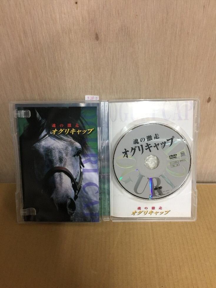 0962 オグリキャップ 激闘の真実 DVD