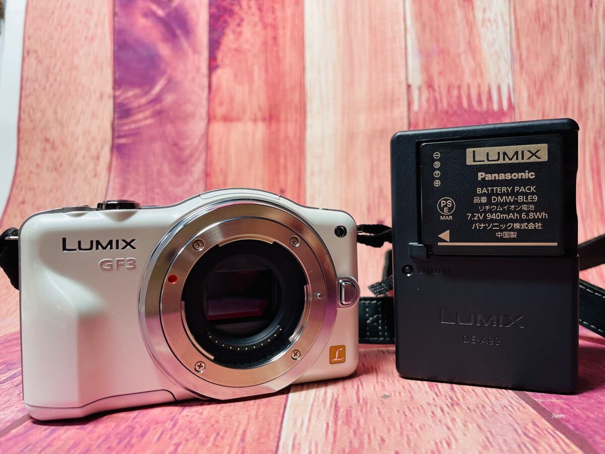 Panasonic パナソニック LUMIX GF3 ミラーレス ボディ - いい方向に 