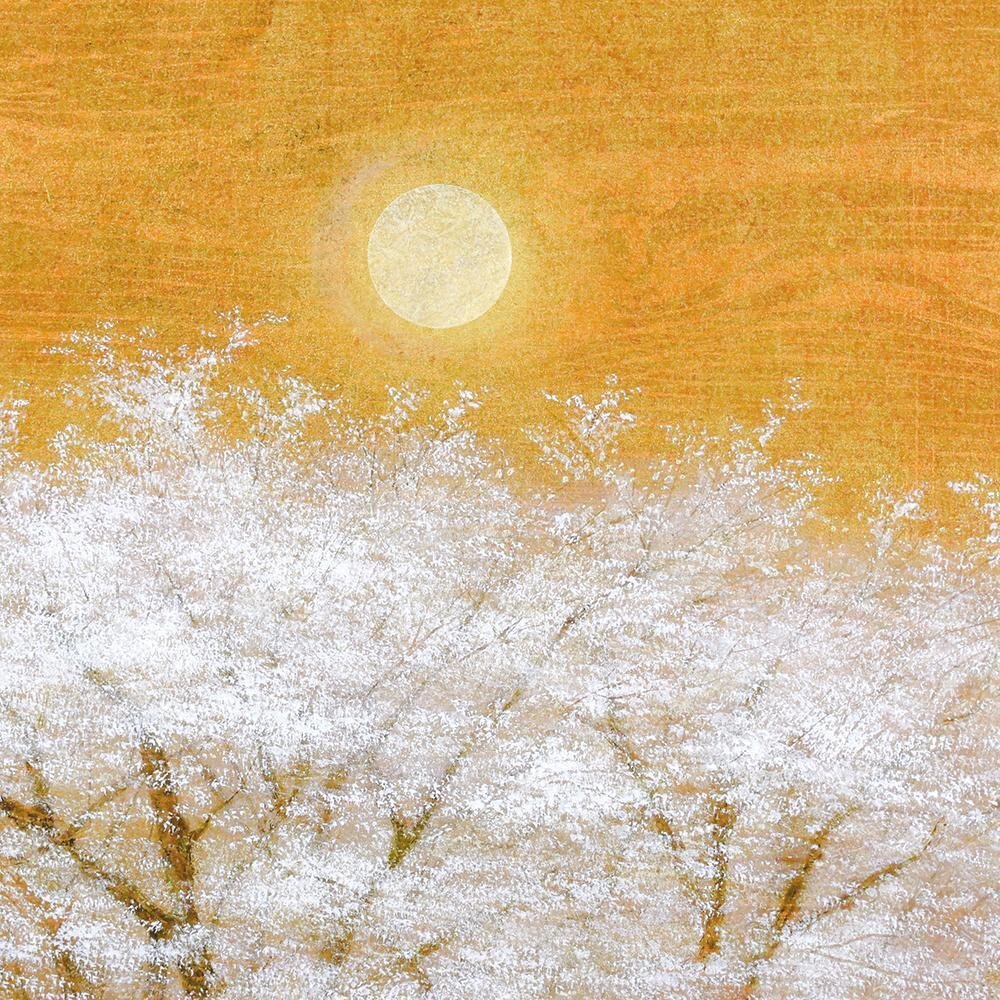 真作】【WISH】増本憲樹「春香連桜」和紙に油彩 30号 大作 共シール