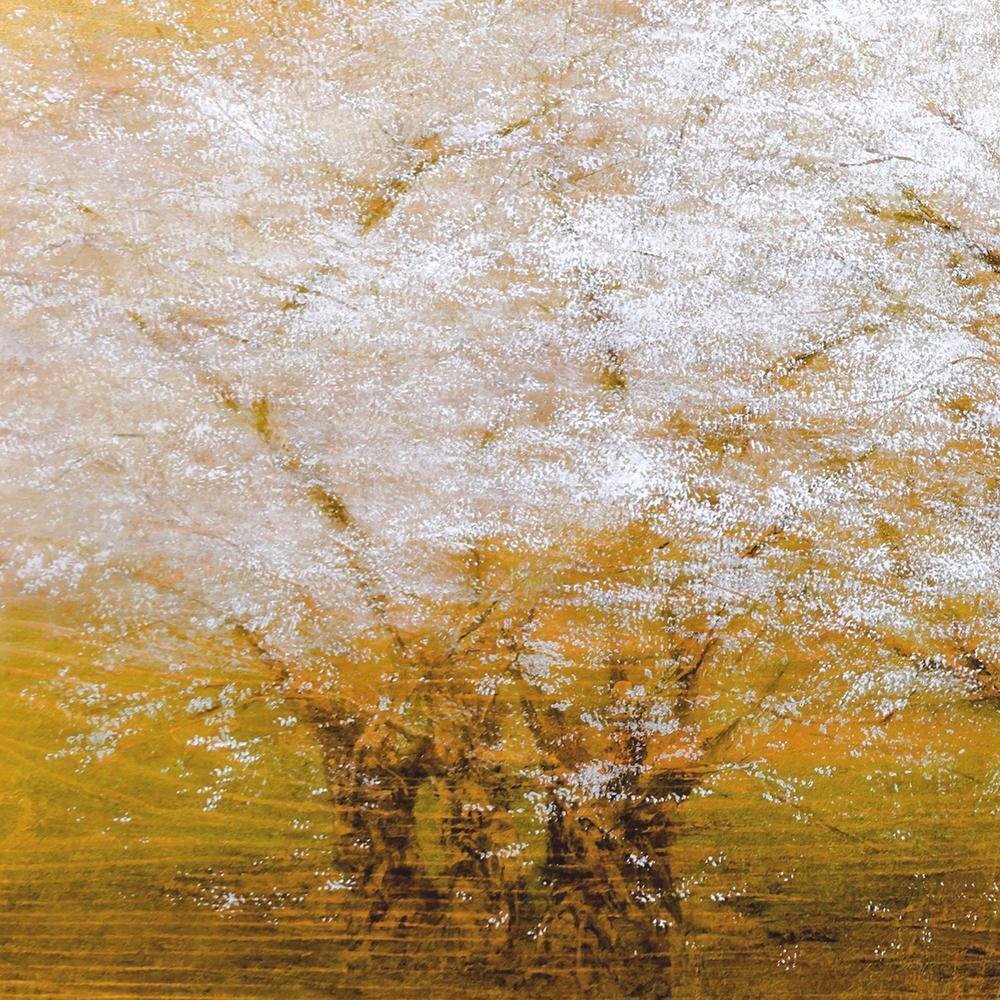 真作】【WISH】増本憲樹「春香連桜」和紙に油彩 30号 大作 共シール