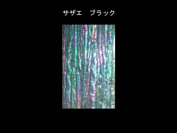 簡単に貼れる!アワビシート(サザエ　ブラックL）