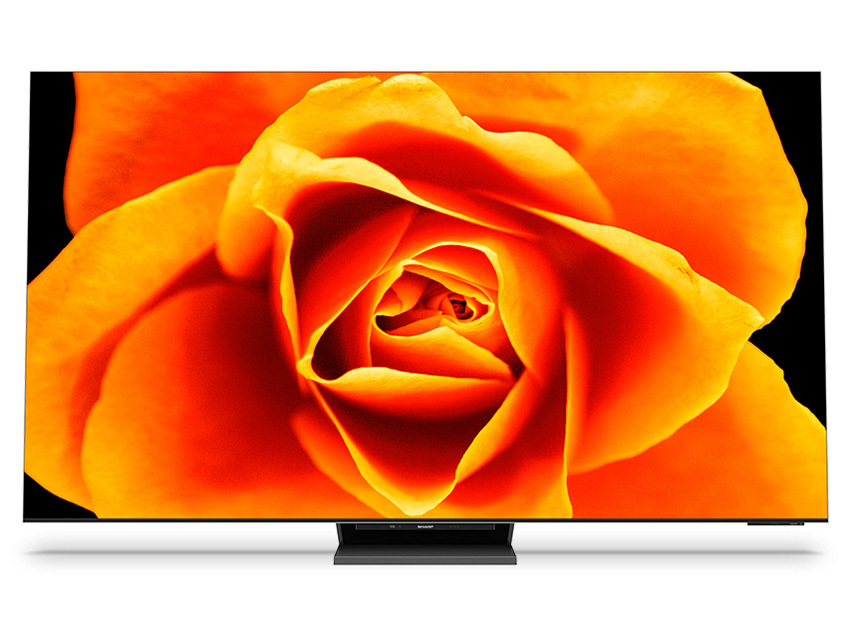 爆買い，セール SHARP AQUOS XLED 8T-C65DX1 [65インチ] 展示品1年保証