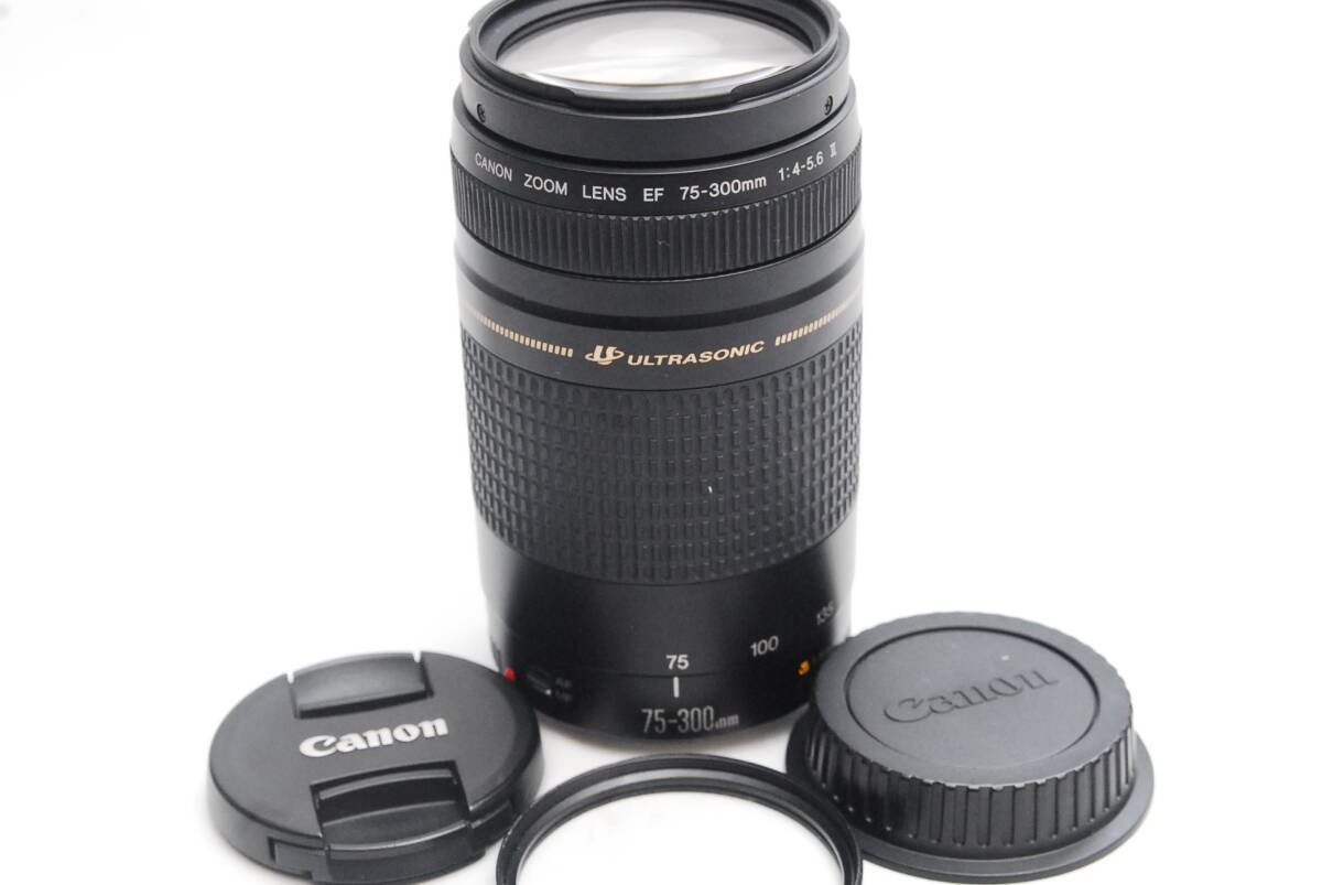 Canon EF 75-300mm Lens f⁄4-5.6 III Zoom Telephoto USM - for Review |