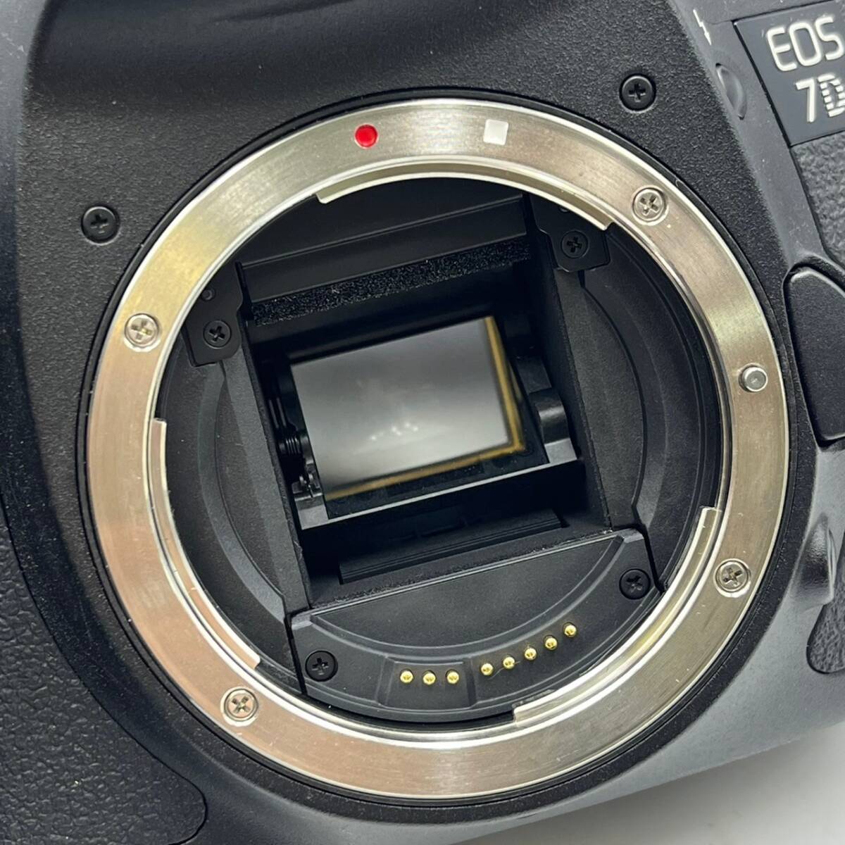 BAd133I 80 箱付き Canon DS126251 EOS 7D イオス デジタル一眼レフ 