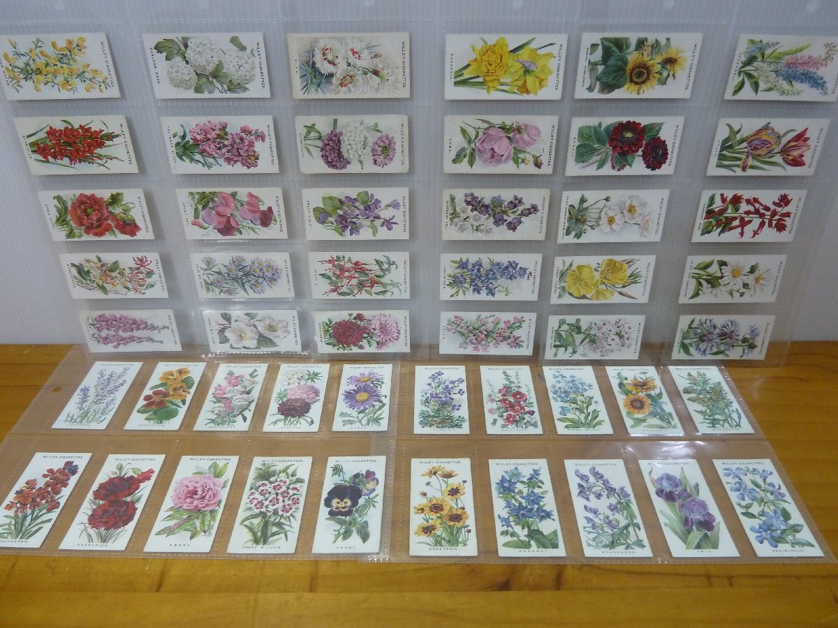 イギリスアンティーク 額入りシガレットカード 25枚 花 シガレットカード「Old English Garden Flowers」イギリス