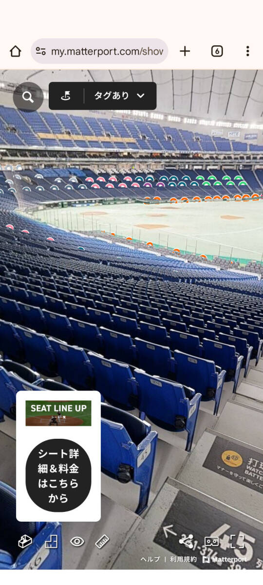 4/4(金) 東京ドーム 巨人vs阪神 指定席B 1階席 1塁側 B06ブロック46列 2枚連番 QRチケット_1