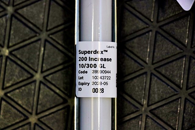 Cytiva Superdex　200 Increase 10/300 GL 28990944 ゲルろ過クロマトグラフィーカラム　在1776Y_5