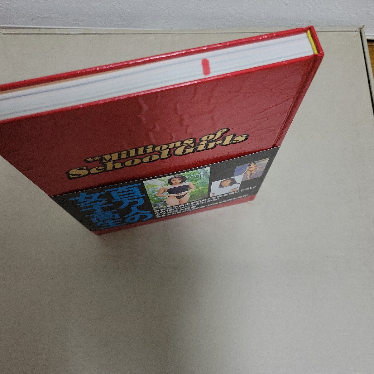 Millions of School Girls 100万人の女子高生 写真集 帯付_6