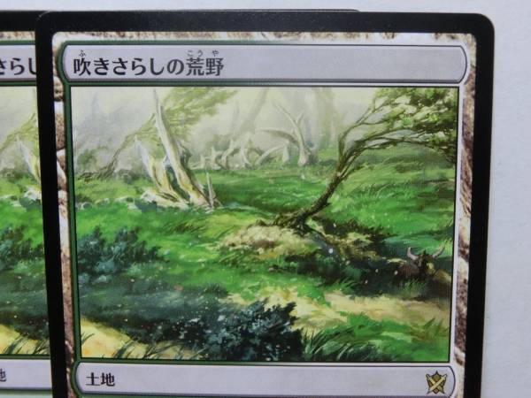 MTG 吹きさらしの荒野 日本語版 4枚セット KTK 吹きさらしの荒野 MTG 吹きさらしの荒野 日本語版 4枚セット KTK 吹きさらしの荒野