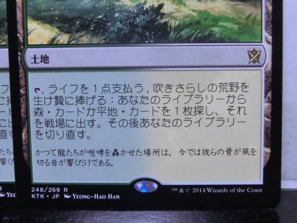 MTG 吹きさらしの荒野 日本語版 4枚セット KTK 吹きさらしの荒野