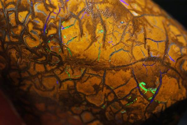 [Star★]大きめRUB 蛍光ライン遊色 ボルダーオパール 310ct 動有