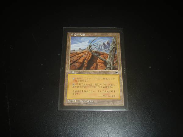 不毛の大地 2枚セット mtg mtg 不毛の大地 2枚セット MTG専門店|東京
