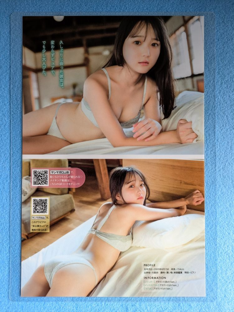 高品質】【厚手ラミネート加工】切り抜き 原本 夏井ちひろ 4ページ B5