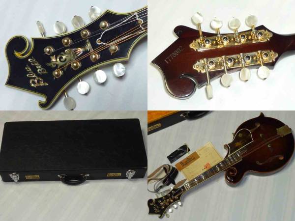 BLUEBELL ブルーベル F-12 フラットマンドリン BLUEBELL F-12 フラットマンドリン 難有 現状 【公式通販】