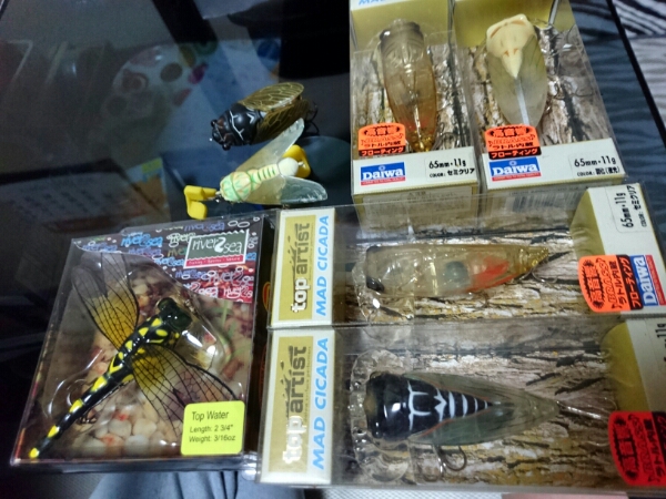 Daiwa マッドシケイダー他 【公式通販】