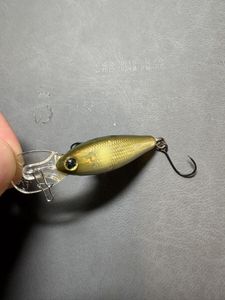 アングラーズリパブリック アンレーズ　ナップディープ　35 ウッド　アユ