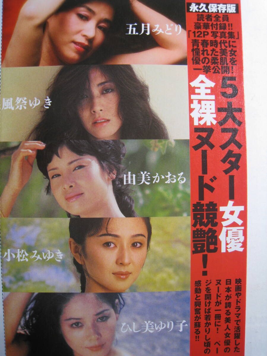 活動歴および当時の関連ビジュアル記録