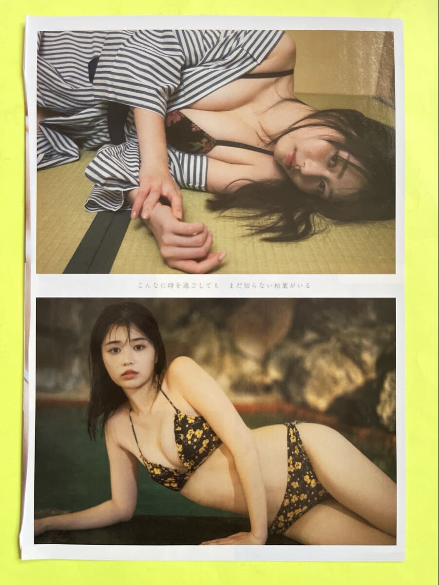 ①☆冴木柚葉☆切り抜き21P FLASH フラッシュ プレイボーイ 2025 送料