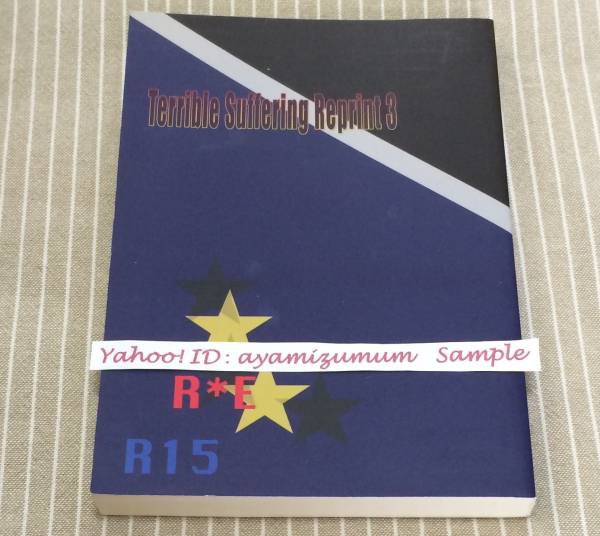 ■鋼の錬金術師 Terrible Suffering Reprint 3 水火 ロイエド■