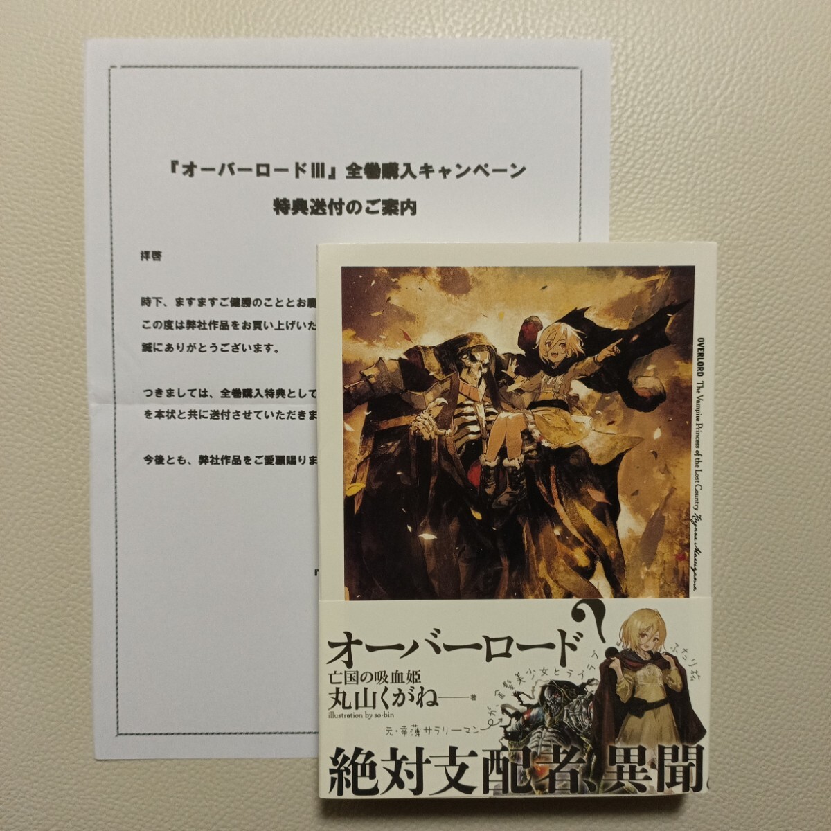 オーバーロード 特典 小説の値段と価格推移は？｜3件の売買