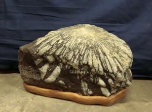 石 鑑賞石のYahoo!オークション(旧ヤフオク!)の相場・価格を見る