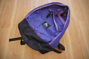 青文字タグ★GREGORY グレゴリー 40周年 DAY PACK BLUE LETTER デイパック ブルーレター