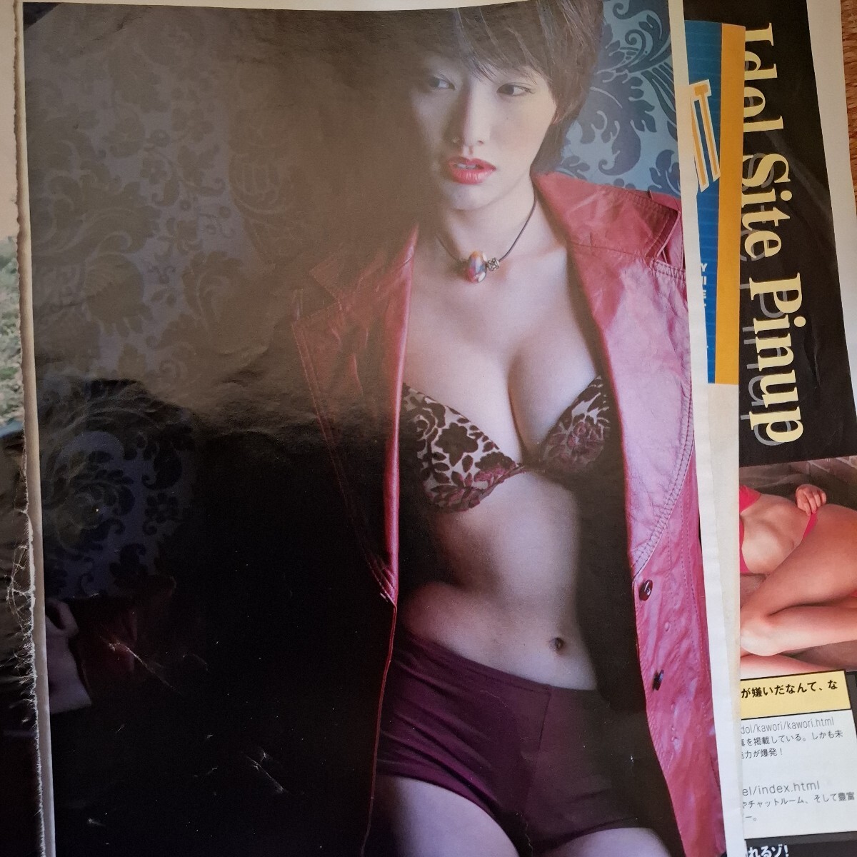 眞鍋かをり水着グラビア切り抜き7ページ ビキニ(タレント)｜売買された