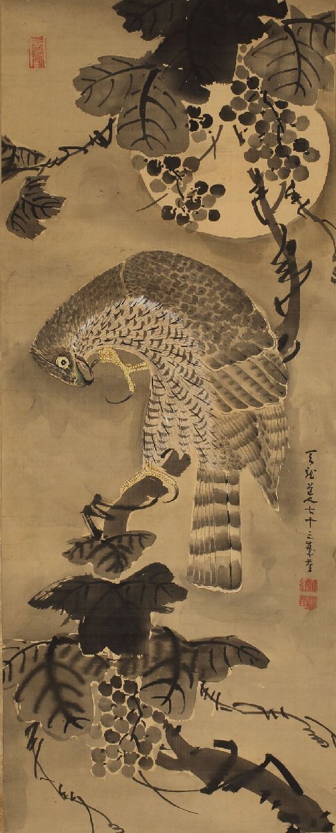 模写】委託HK◇天龍道人 月下葡萄に鷹図竪物（掛け軸 水墨画 近世日本