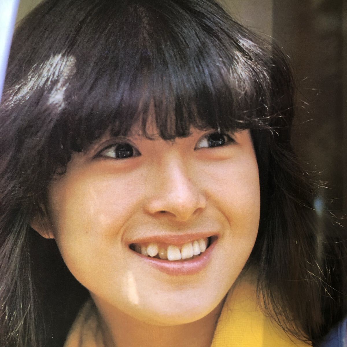 河合奈保子 3冊/別冊近代映画 特集号【ポスター無し】/ときめきの
