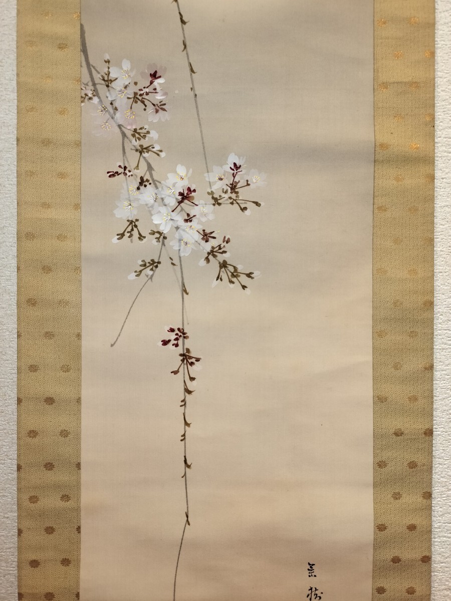 桜花目白図】今井景樹 2669 サクラにメジロ 共箱 掛け軸 肉筆 桜花目白