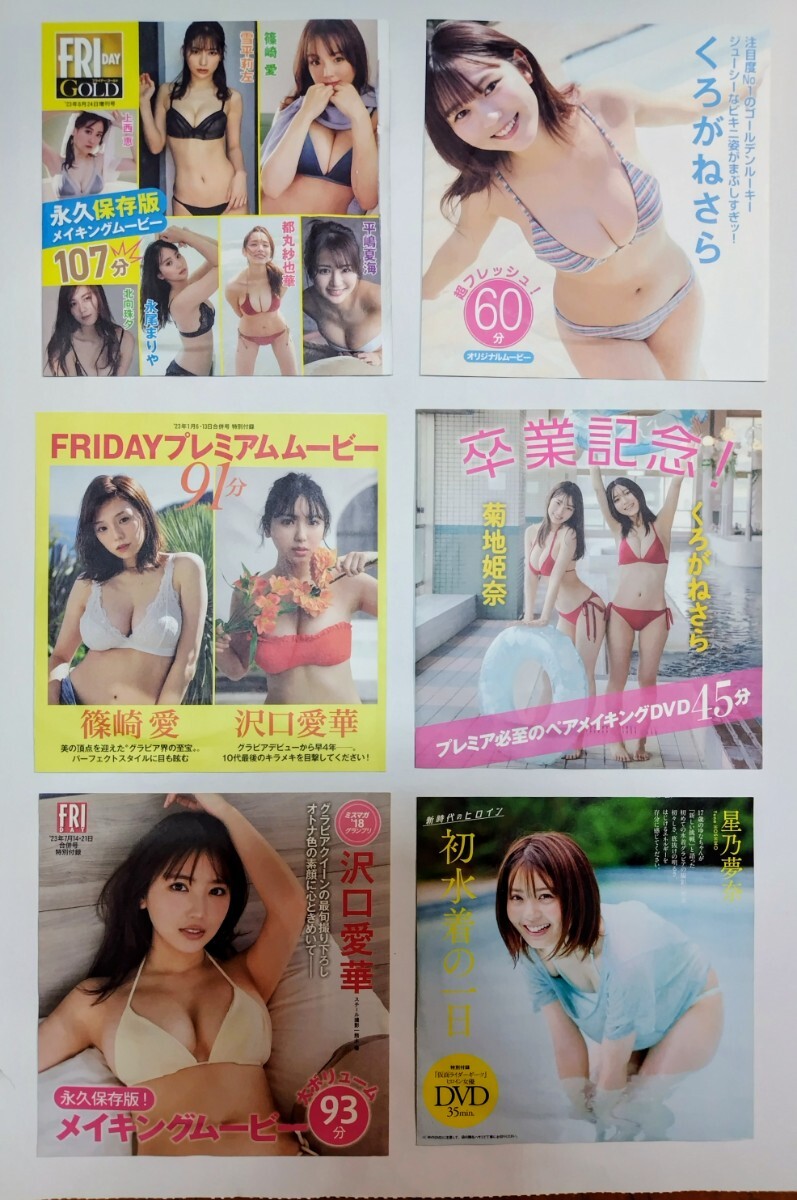 FRIDAY プレイボーイ ヤングアニマル 付録DVD 篠塚愛 雪平莉左 沢口