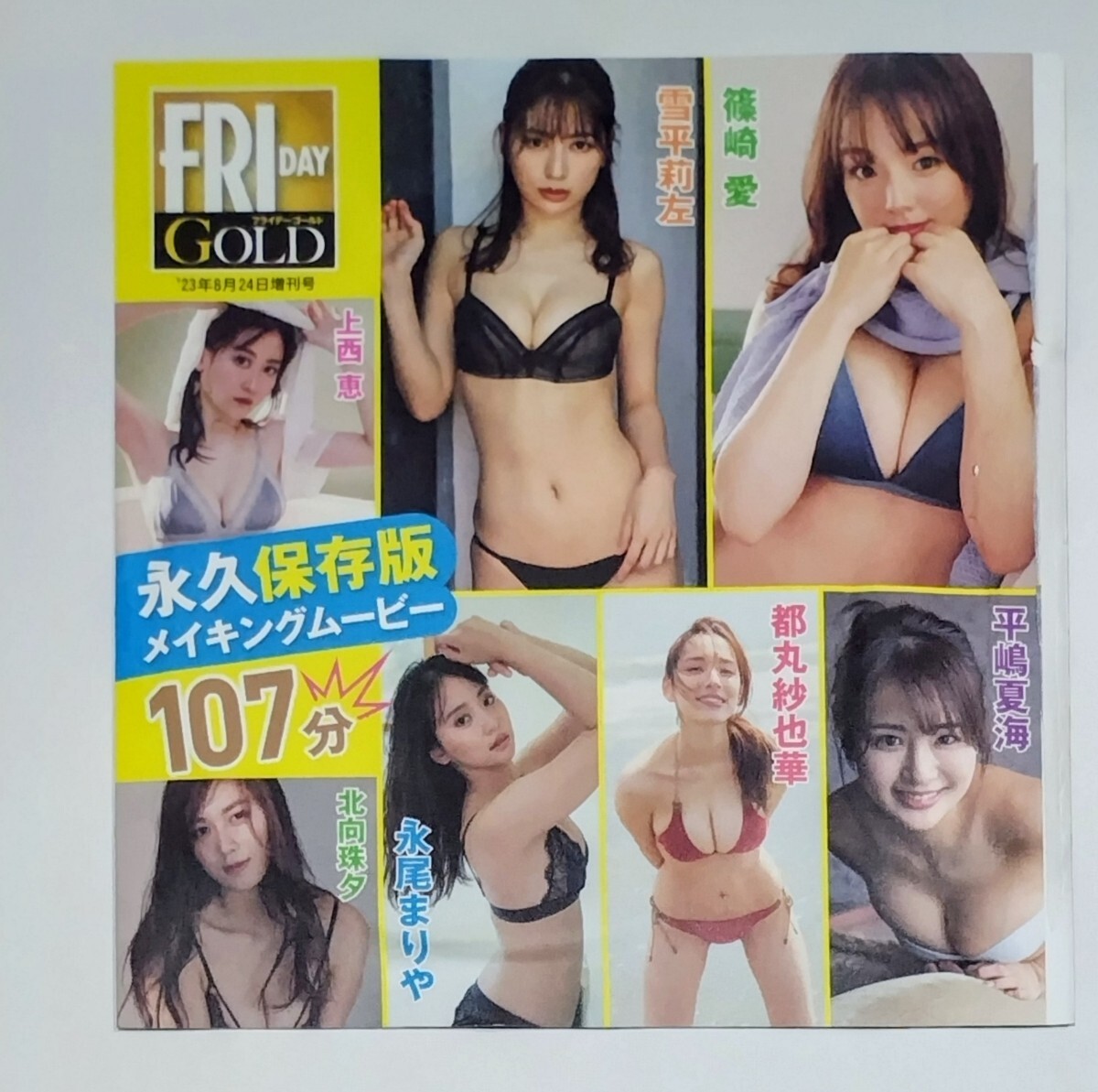 FRIDAY プレイボーイ ヤングアニマル 付録DVD 篠塚愛 雪平莉左 沢口