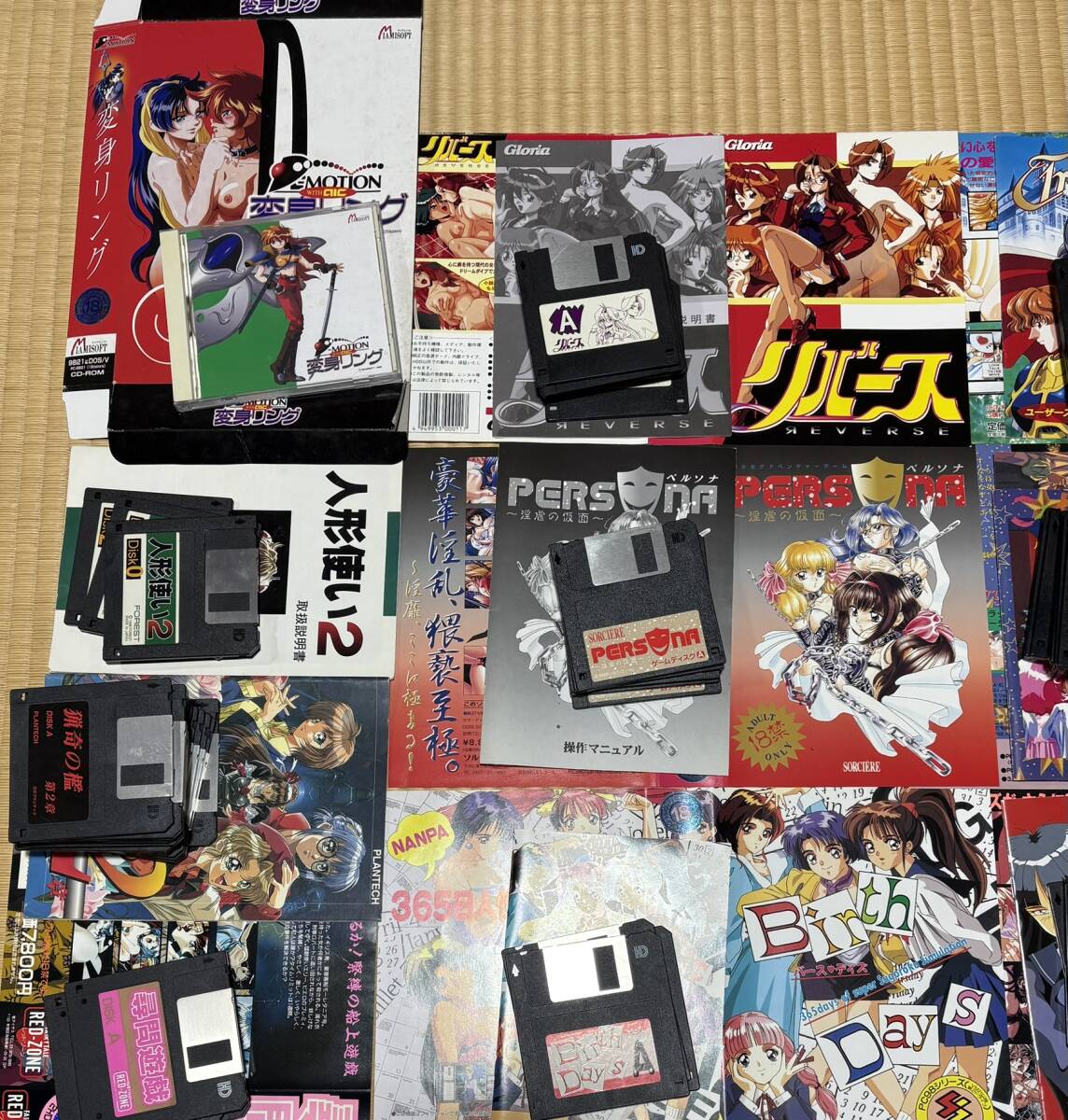 送料無料 PC-9801ゲームソフト PCゲーム 3.5