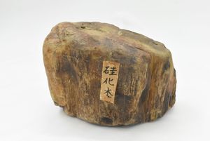 珪化木 化石の値段と価格推移は？｜12件の売買データから珪化木 化石の