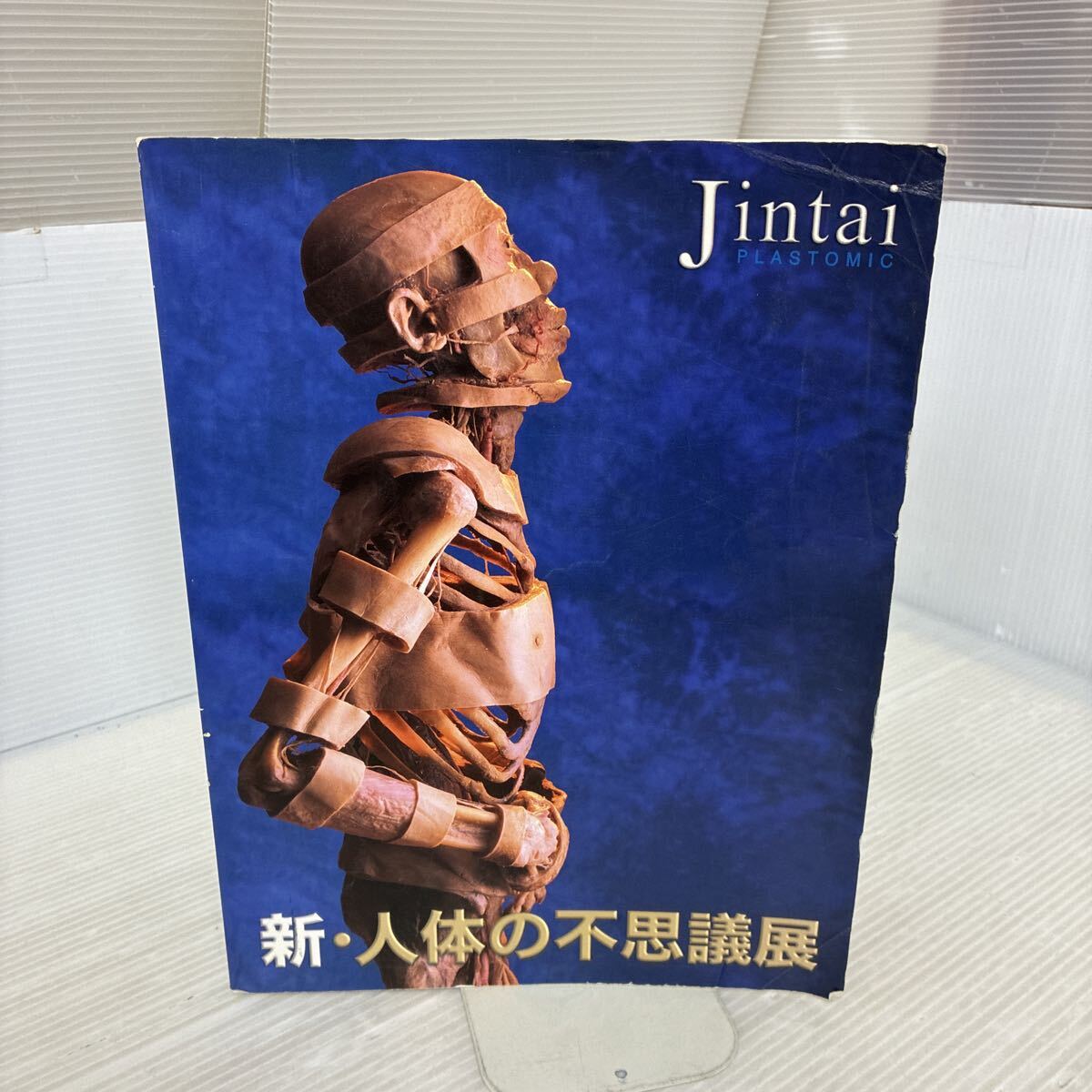 希少品 人体の不思議展 ガイコツ うさぎ 人体の不思議展の値段と価格推移は？｜6件の売買データから人体の
