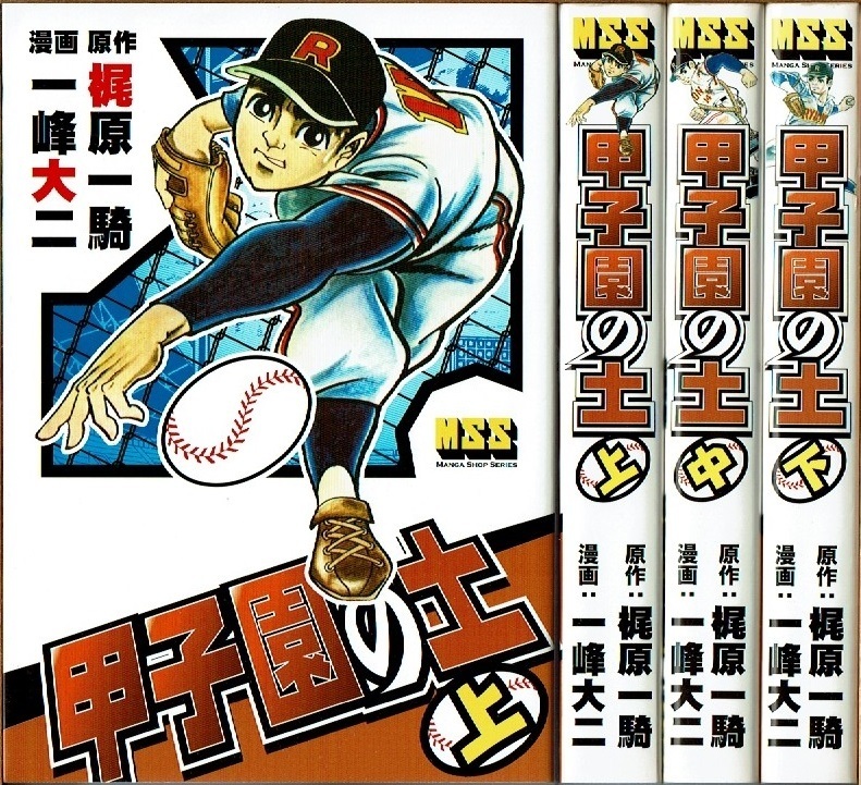 甲子園の土の値段と価格推移は？｜8件の売買データから甲子園の土の