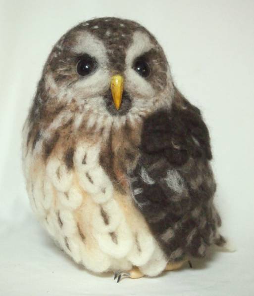 羊毛フェルト　鳥　ナンベイヒナフクロウ　猛禽類　ハンドメイド
