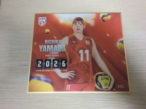 山田二千華の値段と価格推移は？｜96件の売買データから山田二千華の