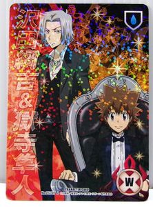 b*]様 REBORN CCGカード SKR 沢田綱吉&プリーモ 綱吉カード付 家庭教師