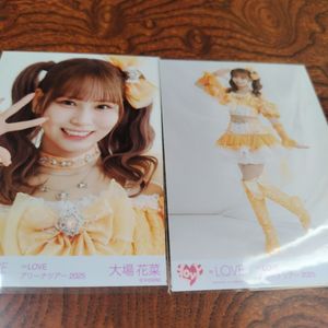 花菜の値段と価格推移は？｜303件の売買データから花菜の価値がわかる