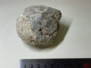球顆流紋岩の値段と価格推移は？｜1件の売買データから球顆流紋岩の
