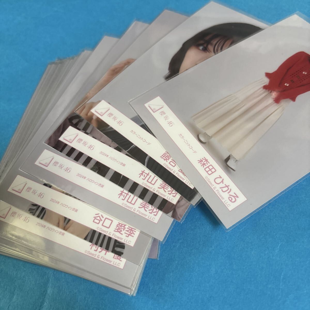森田ひかるの値段と価格推移は？｜148件の売買データから森田ひかるの