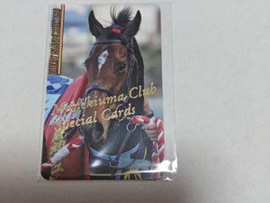 まねき馬カードNo2686フォーエバーヤング年度代表馬sp（未開封） まねき馬カードの値段と価格推移は？｜286件の売買データからまねき馬