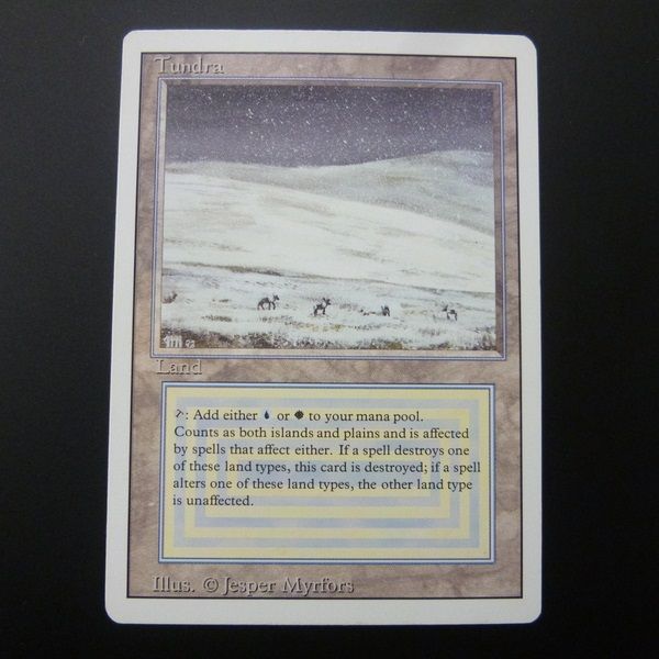 A018 MTG Tundra 英語 ツンドラ 土地 青 白 デュアルランド 〇