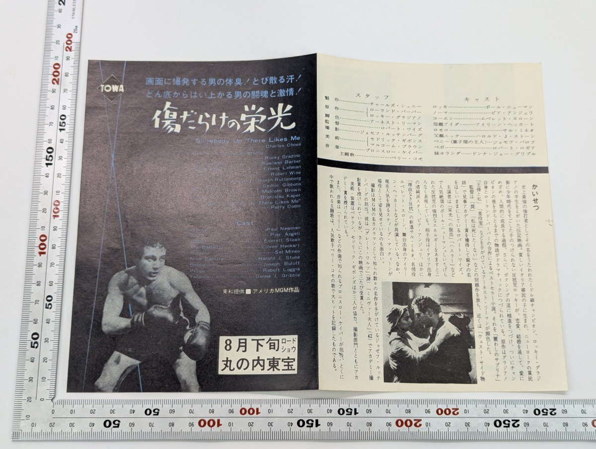 映画 チラシの値段と価格推移は？｜7486件の売買データから映画 チラシ
