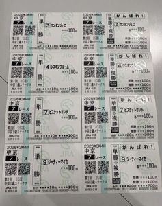 単勝馬券の値段と価格推移は？｜637件の売買データから単勝馬券の価値
