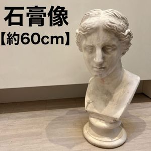 石膏像 ミロのヴィーナスの値段と価格推移は？｜16件の売買データから