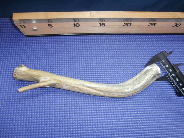 最安値，2025 深海松 海松 根付 トンボ玉 ルアーヘット ブルー系 超(トップウォーター)｜売買されたオークション情報、yahooの商品情報をアーカイブ公開 - オークファン 海水